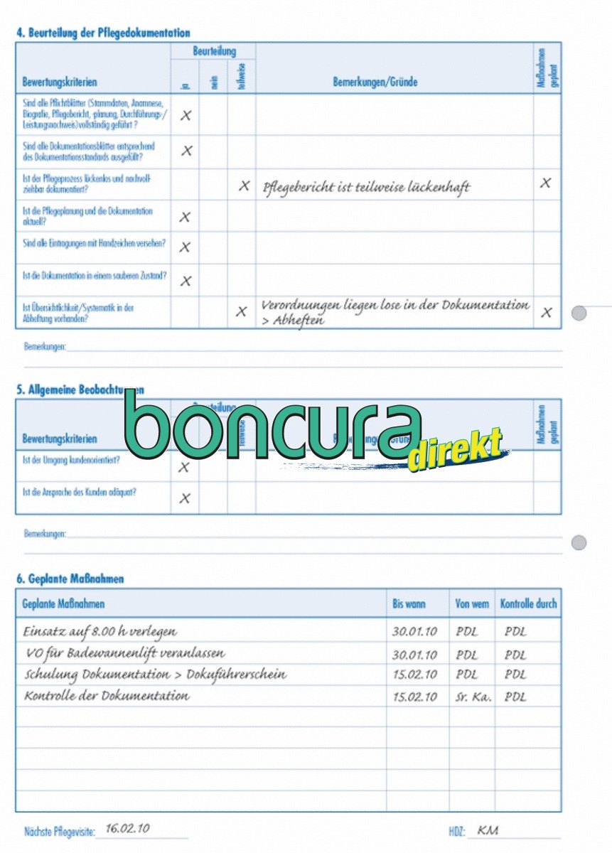 Pflegevisitenprotokoll 