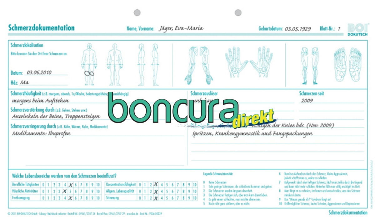 Schmerzdokumentation 