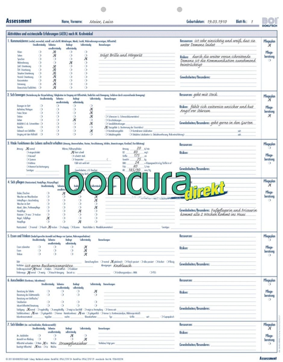 Assessment Instrument Pflege Beispiel Pflegeanamnese AEDL / Assessment | 3952